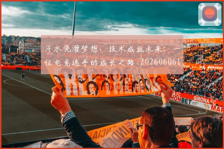 汗水浇灌梦想，技术成就未来：一位电竞选手的成长之路_20260606145842